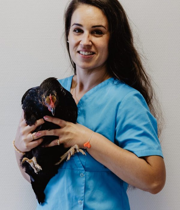 DR BRUCHON LAURE