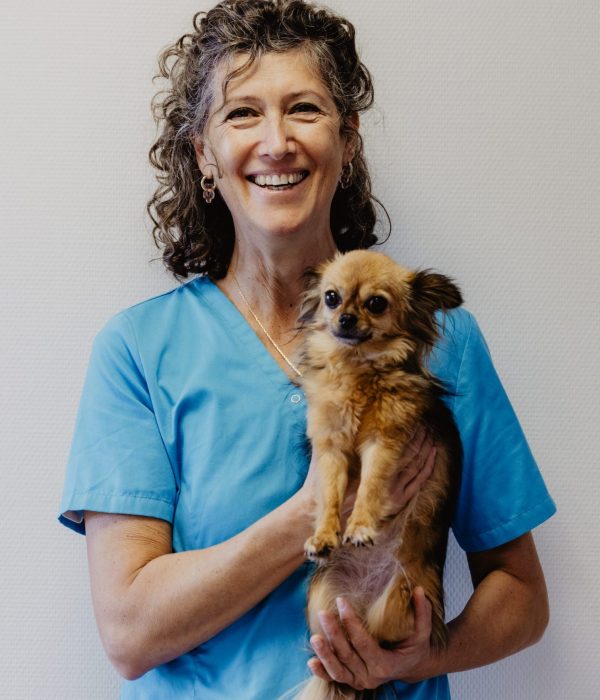 DR CLUZEL SOPHIE